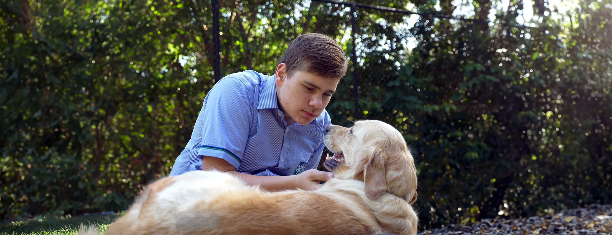 Ollie and Sadie