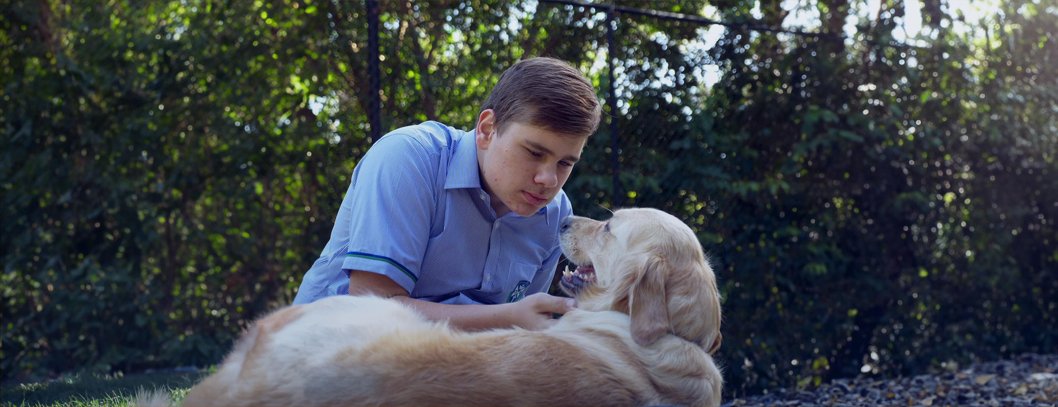 Ollie and Sadie